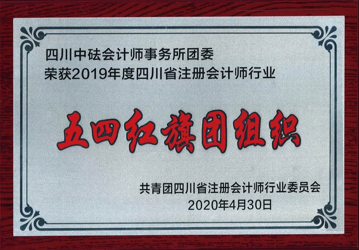 2019年度四川省注冊會計師行業(yè)“五四紅旗團組織”