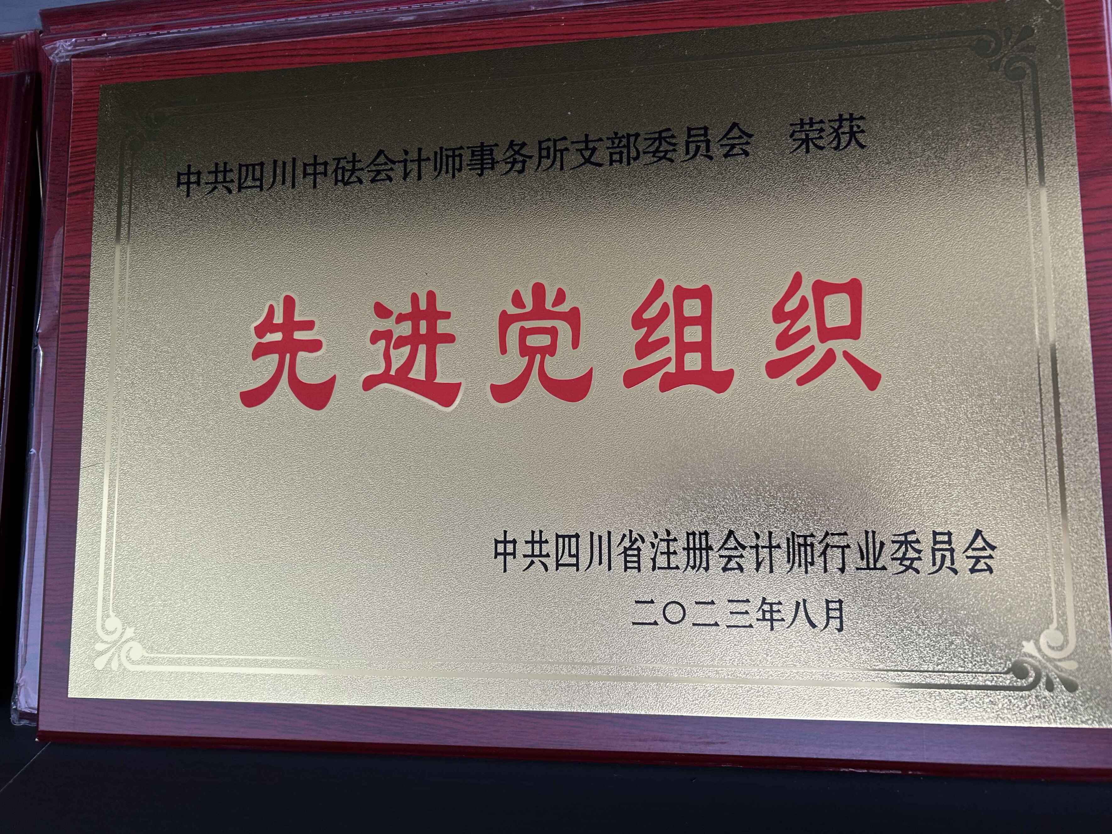 2023年先進(jìn)黨組織—中共四川省注冊(cè)會(huì)計(jì)師行業(yè)委員會(huì)